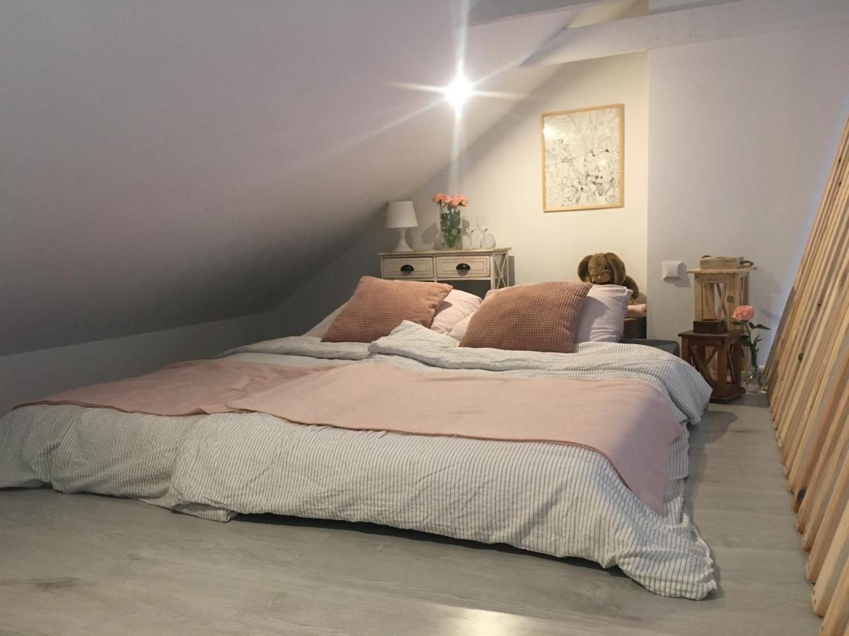 Apartament Z Antresola Okszow Ngoại thất bức ảnh